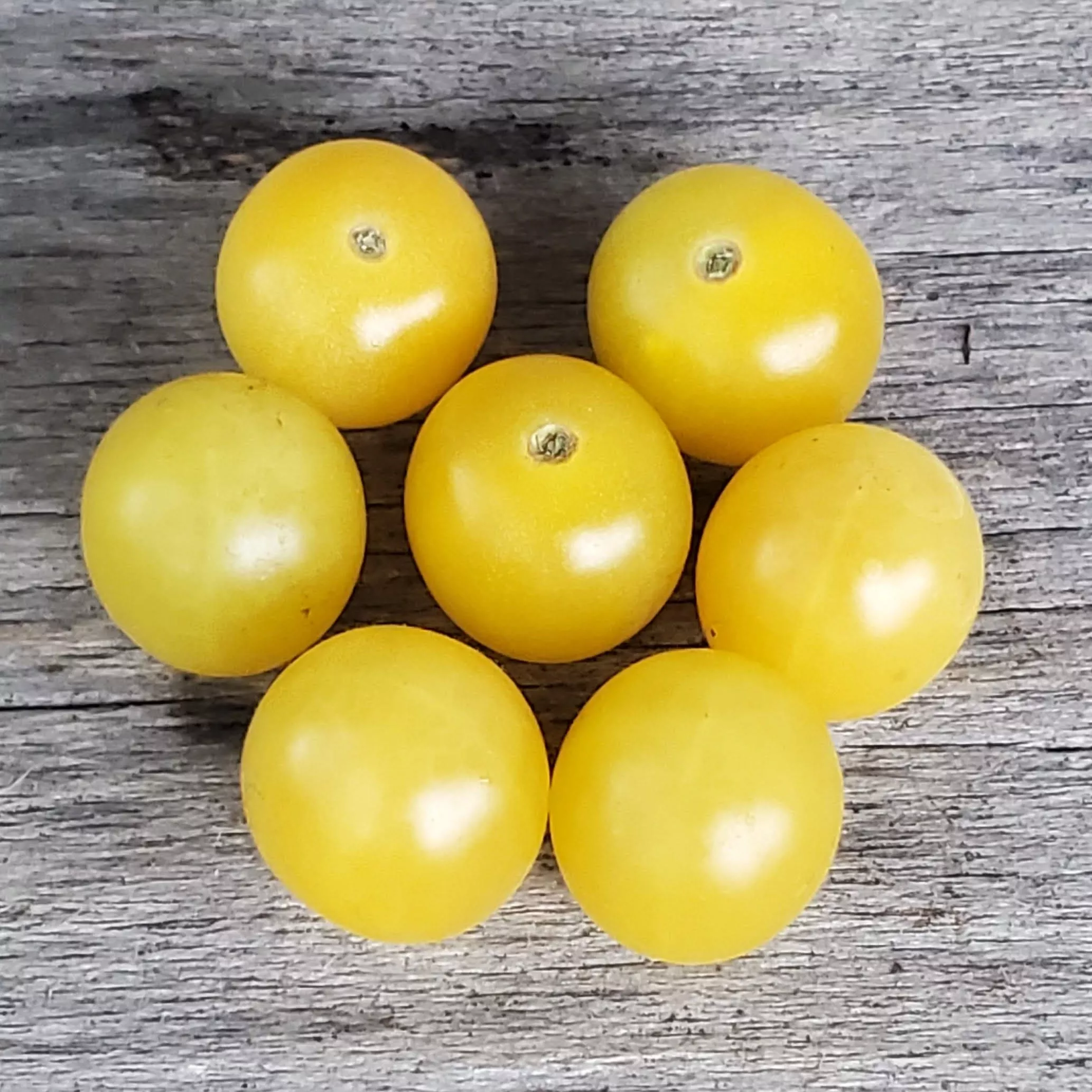 Tomato Lemon Drop