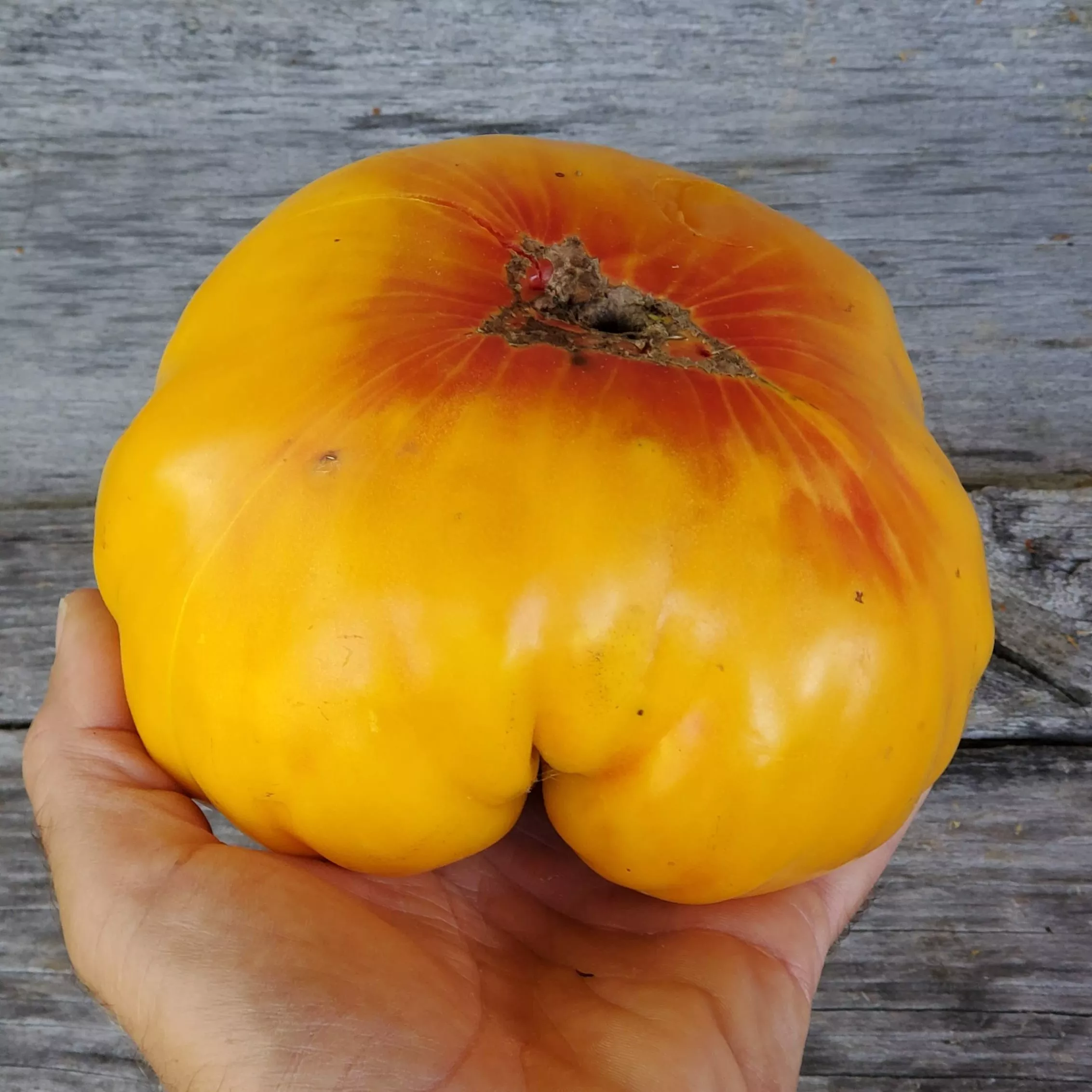 Tomato Pineapple