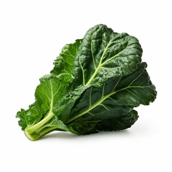 Top Bunch Collard Green Plants
