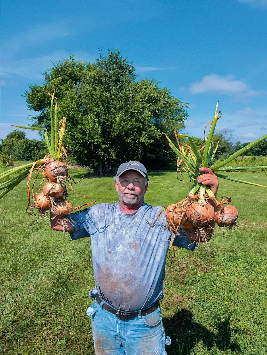 Walla Walla Onion Plants