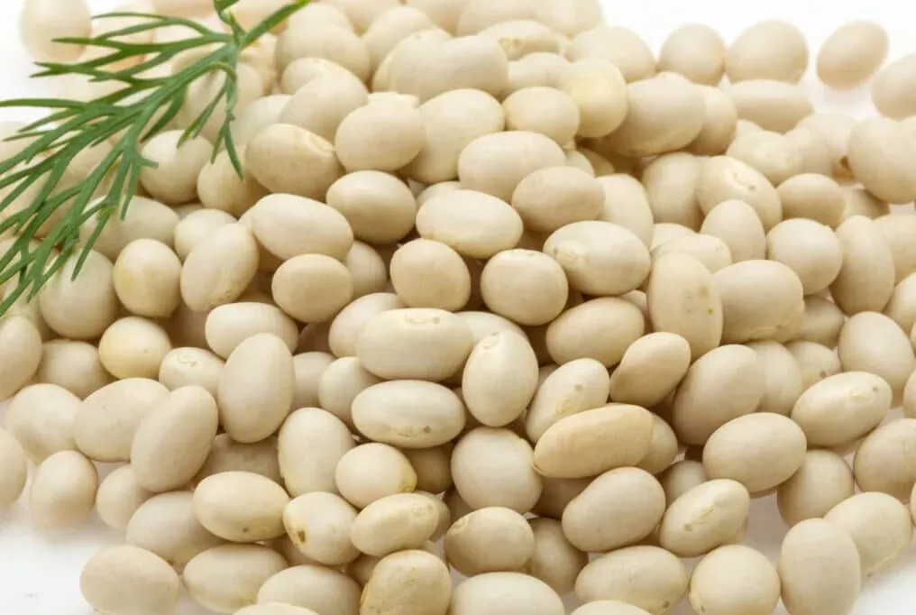 White Dixie Butterpeas