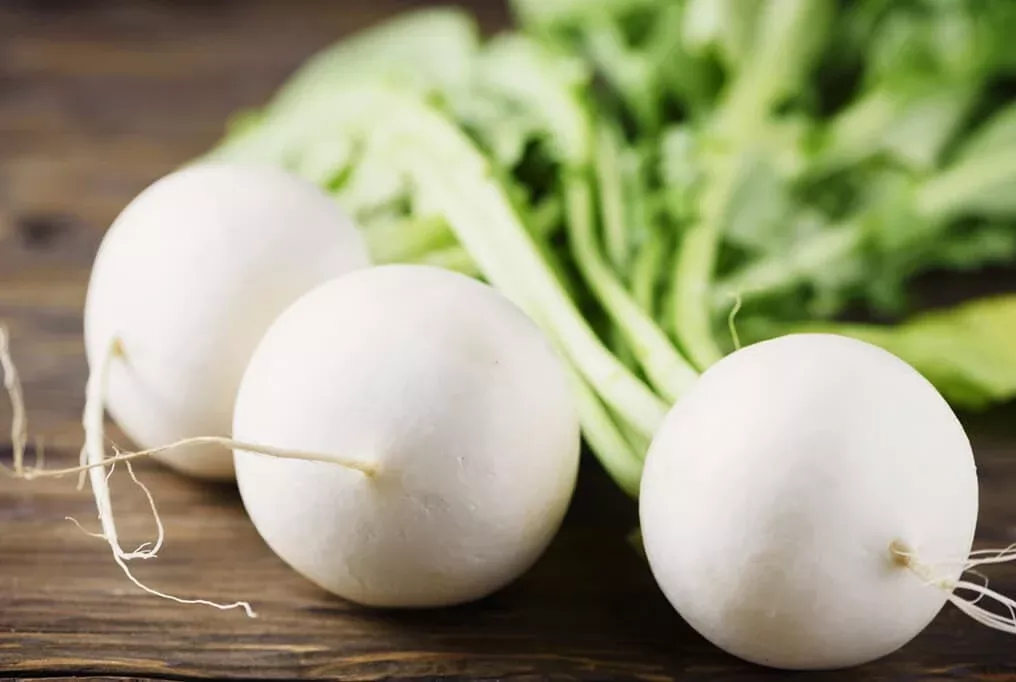 White Egg Turnip