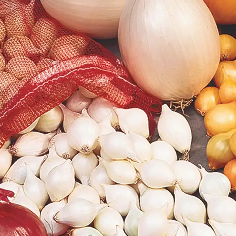 White Onion Set