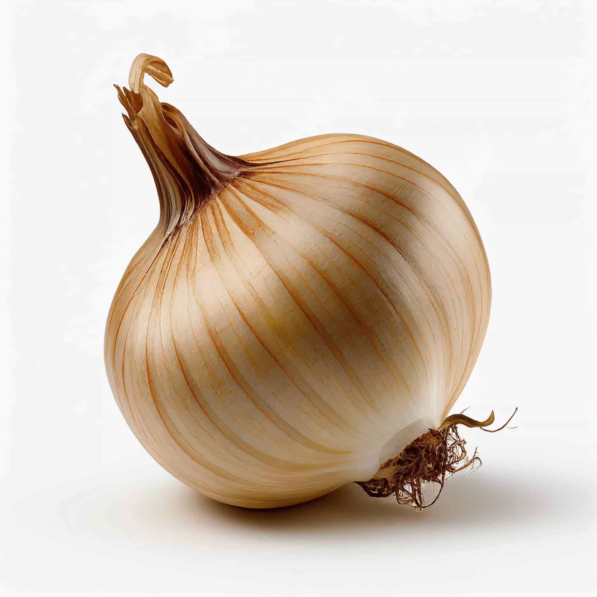White Sweet Spanish Onions