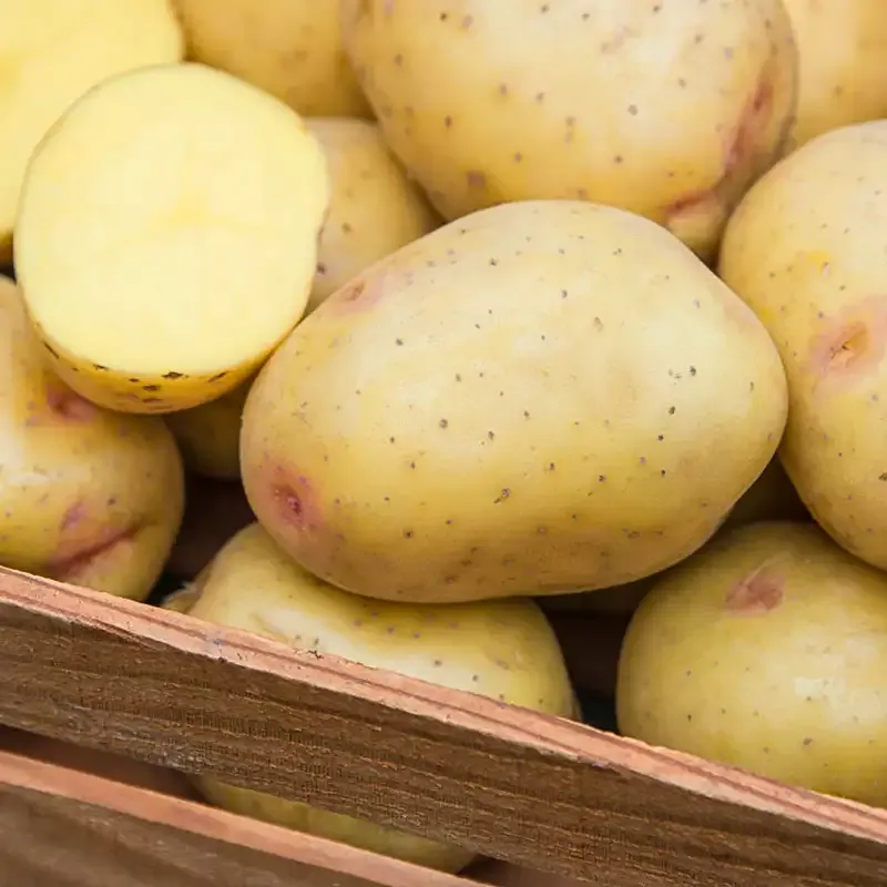 Yukon Gem Potato
